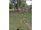 Cooran QLD 4569
