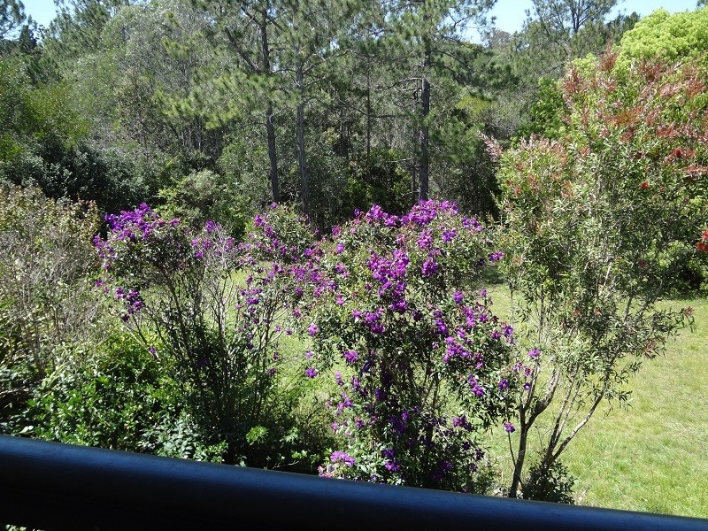 34 Tanderra Drive, Cooran QLD 4569