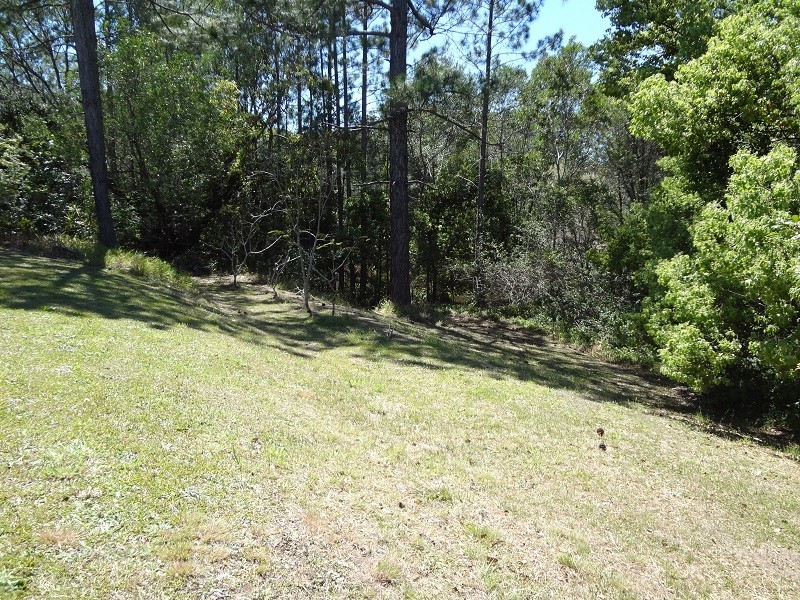 34 Tanderra Drive, Cooran QLD 4569