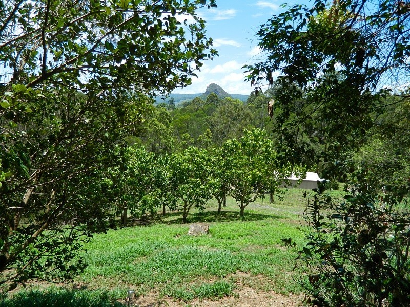 260 Coles Creek Road, Cooran QLD 4569