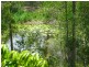 260 Coles Creek Road, Cooran QLD 4569