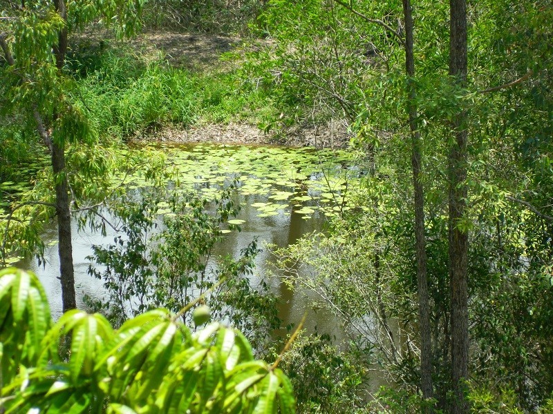 260 Coles Creek Road, Cooran QLD 4569