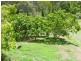 260 Coles Creek Road, Cooran QLD 4569