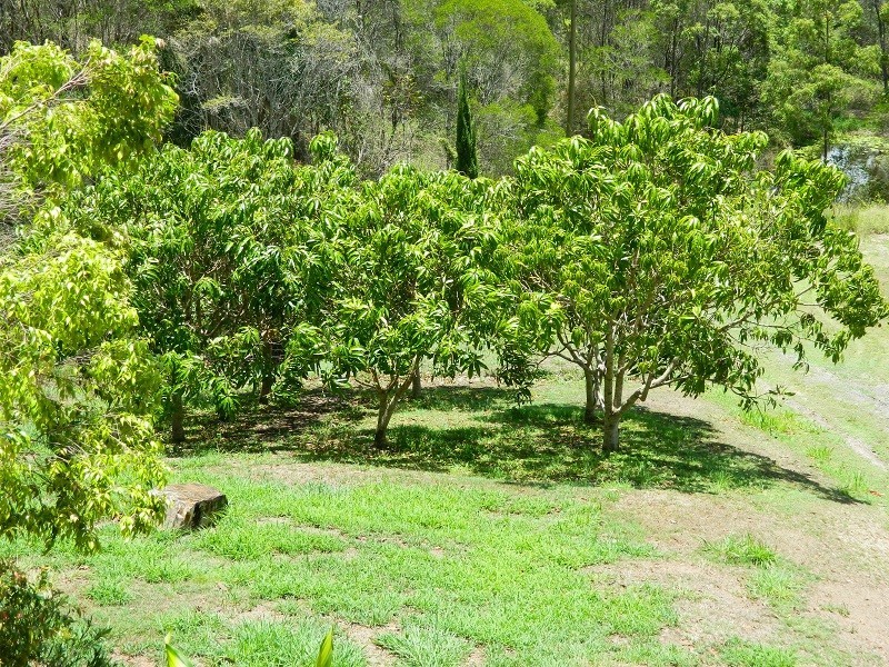 260 Coles Creek Road, Cooran QLD 4569