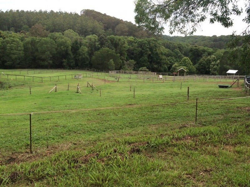 447 Middle Creek Road, Federal QLD 4568