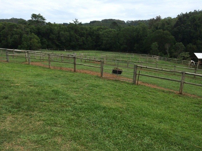 447 Middle Creek Road, Federal QLD 4568