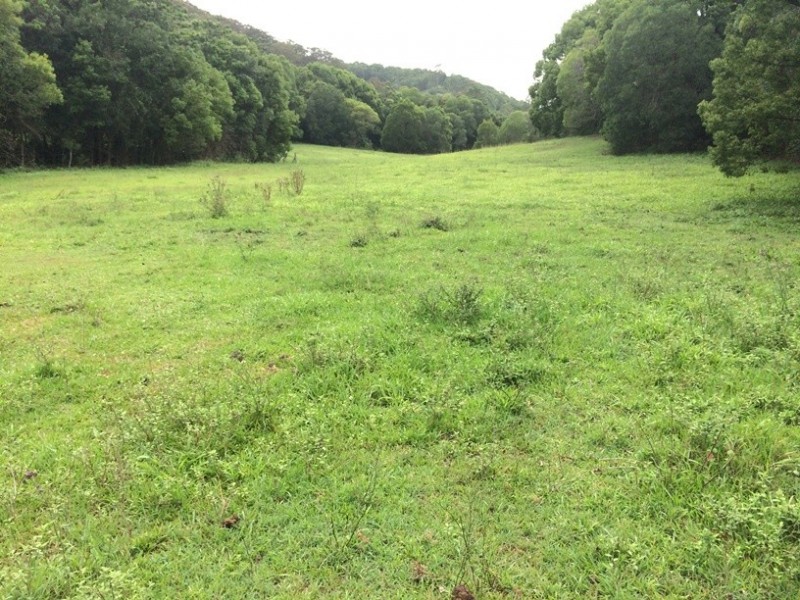 447 Middle Creek Road, Federal QLD 4568