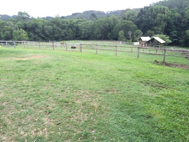 447 Middle Creek Road, Federal QLD 4568