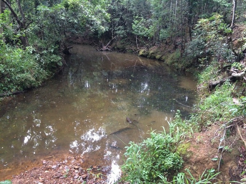 447 Middle Creek Road, Federal QLD 4568