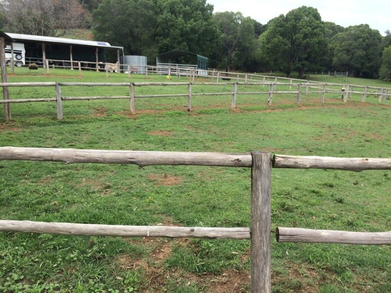 447 Middle Creek Road, Federal QLD 4568