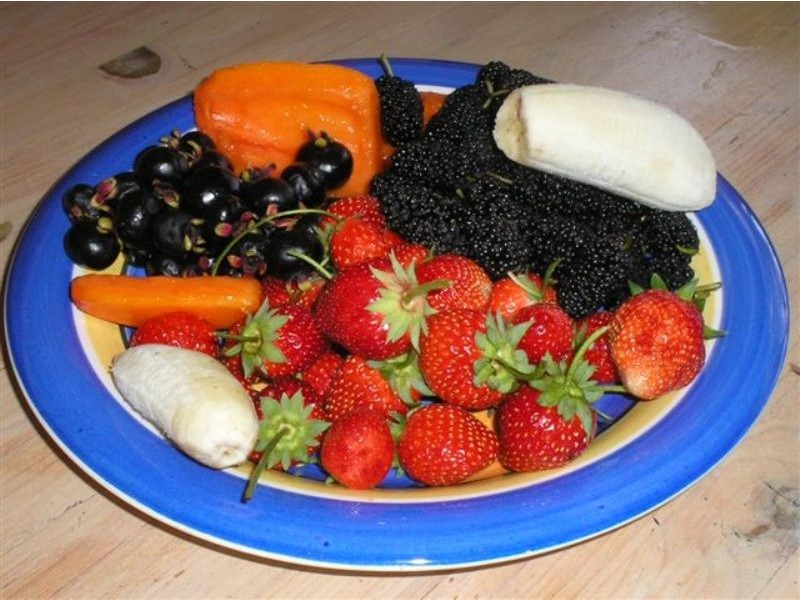 32 Buckley Road, Kin Kin QLD 4571