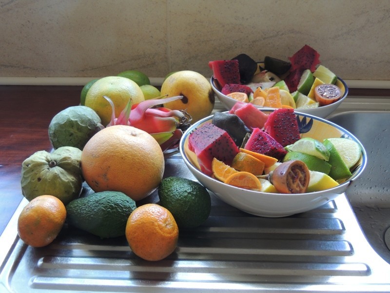 32 Buckley Road, Kin Kin QLD 4571