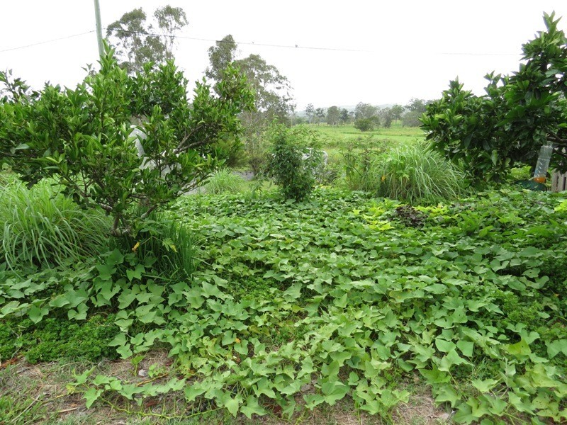 32 Buckley Road, Kin Kin QLD 4571