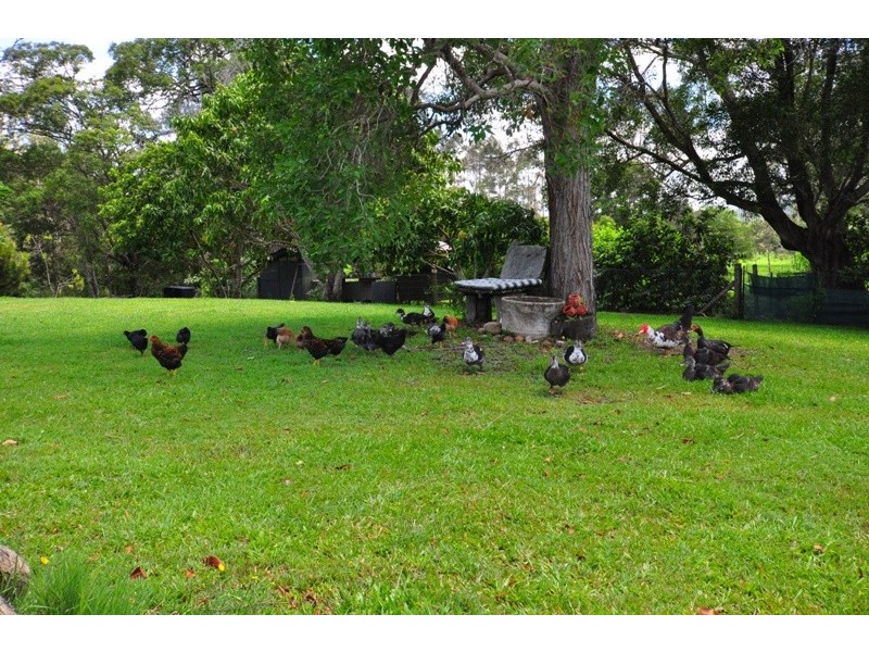 32 Buckley Road, Kin Kin QLD 4571