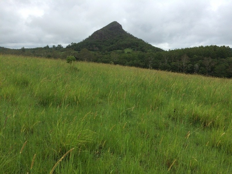 45 Mahers Road, Cooran QLD 4569