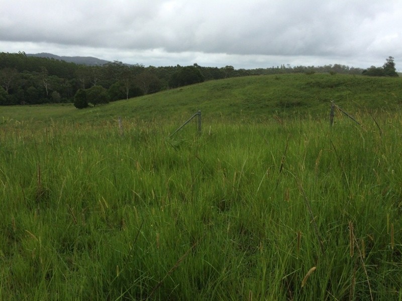 45 Mahers Road, Cooran QLD 4569