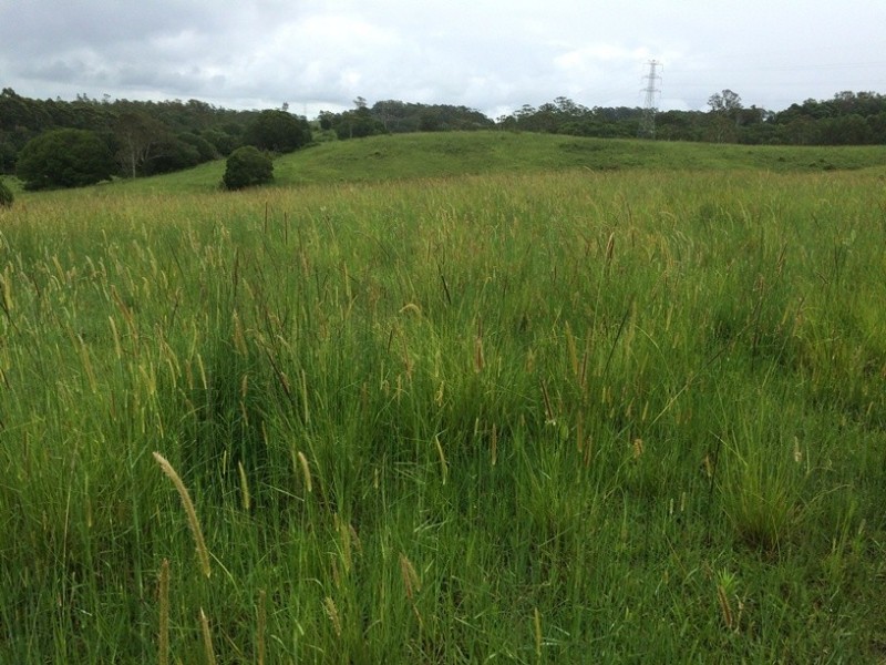 45 Mahers Road, Cooran QLD 4569