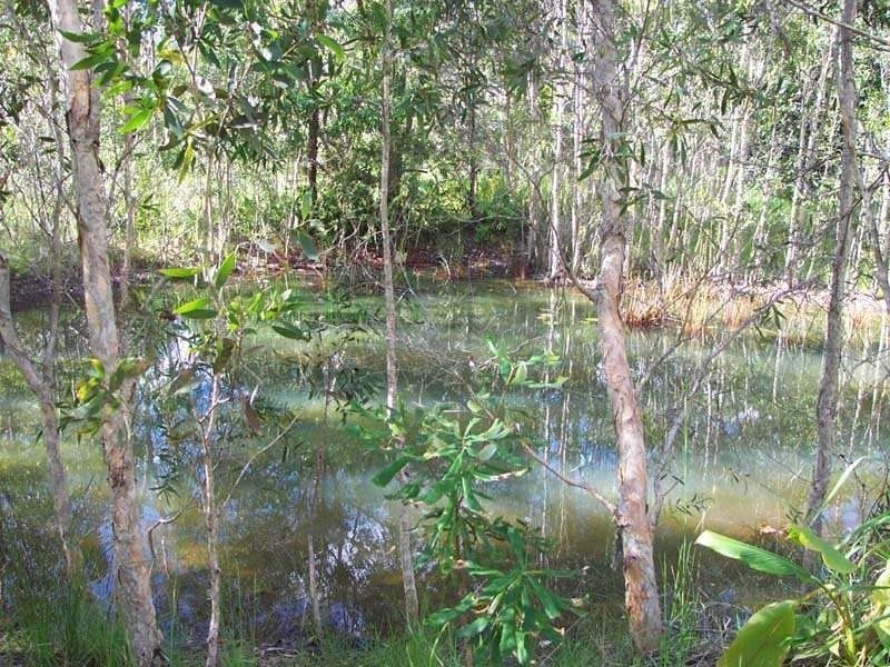 96 Green Gate Road, Cooroibah QLD 4565