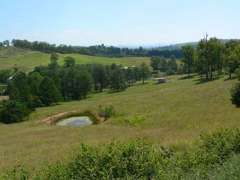 45 Happy Jack Creek Road, Ridgewood QLD 4563