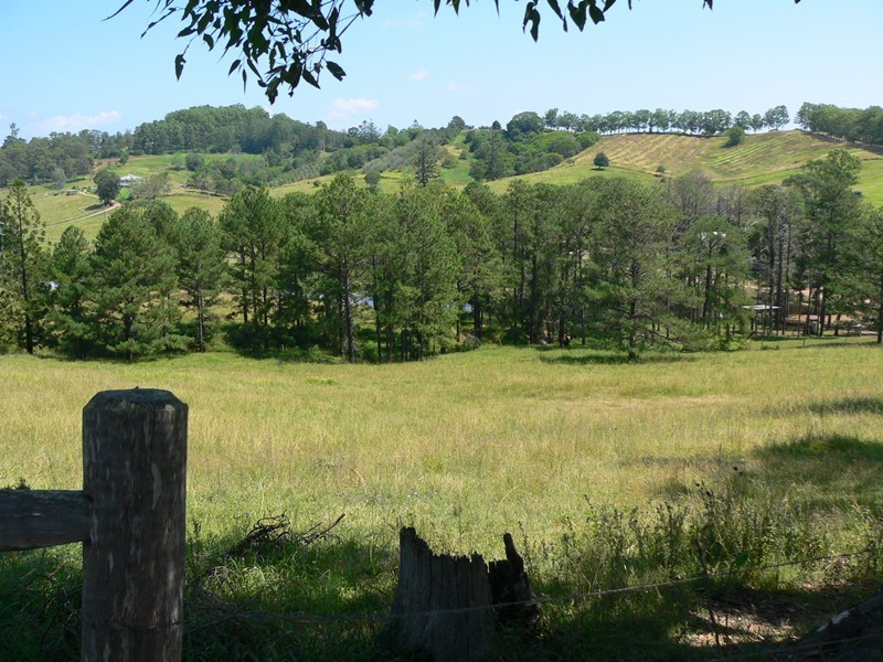 45 Happy Jack Creek Road, Ridgewood QLD 4563