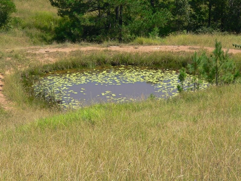 45 Happy Jack Creek Road, Ridgewood QLD 4563