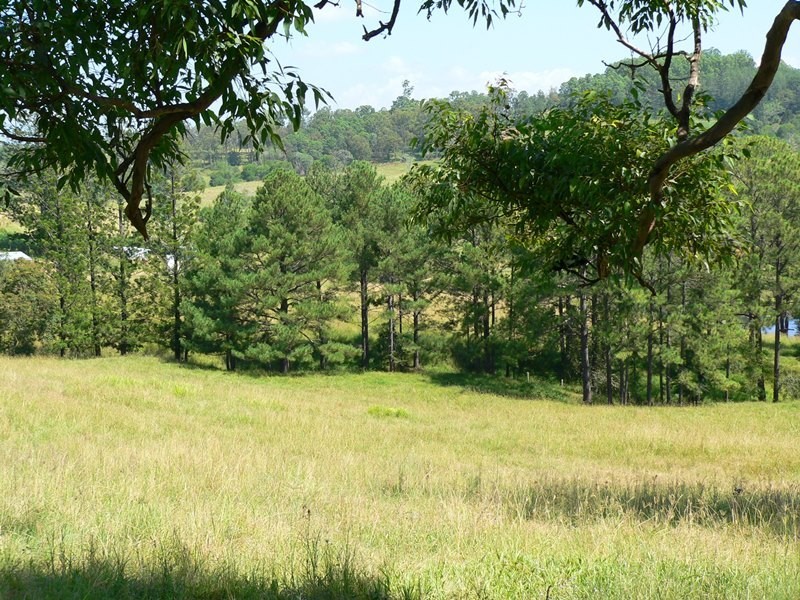 45 Happy Jack Creek Road, Ridgewood QLD 4563