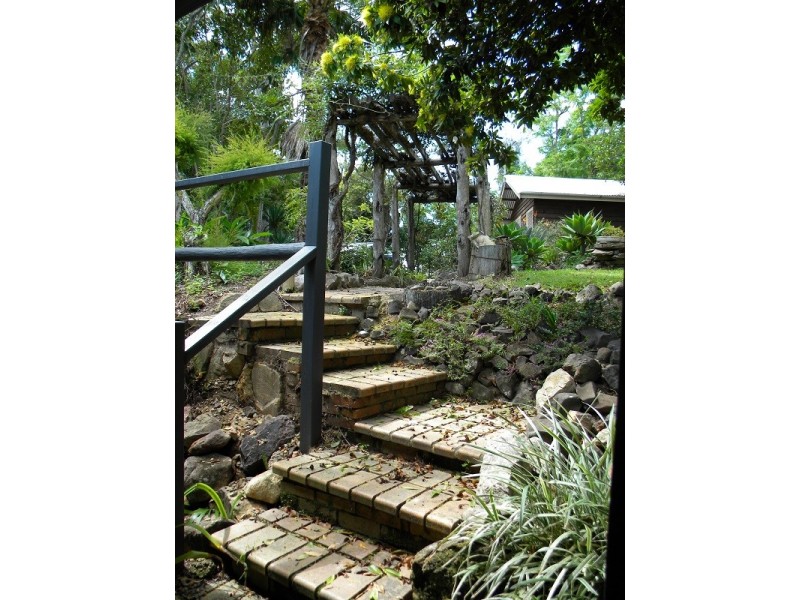 Black Mountain QLD 4563