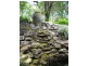 Black Mountain QLD 4563