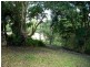 Black Mountain QLD 4563