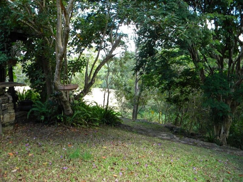 Black Mountain QLD 4563