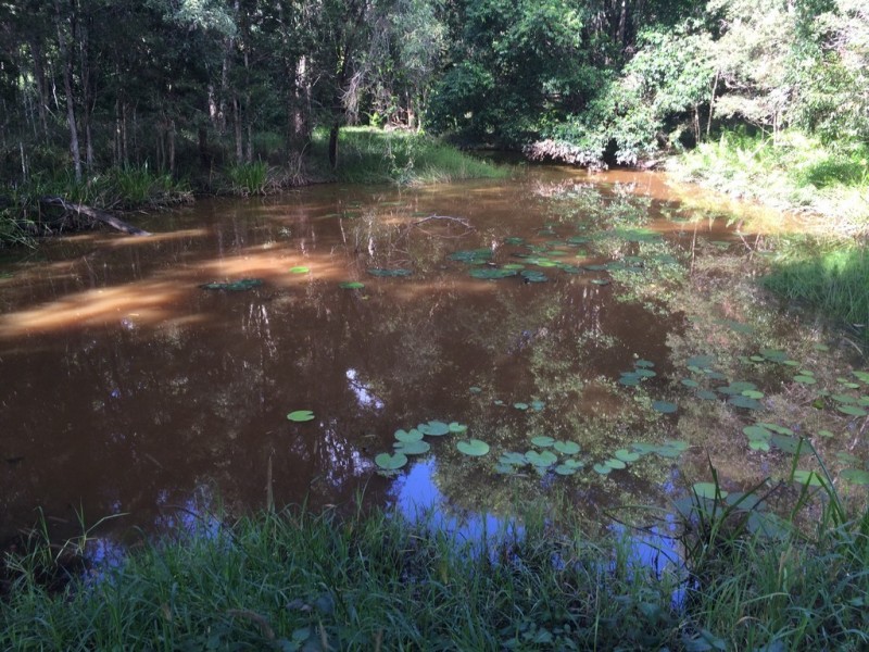 Pomona QLD 4568