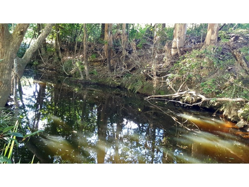 361 Schreibers Road, Cooran QLD 4569