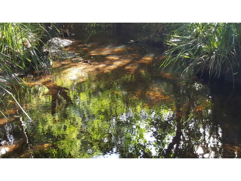 361 Schreibers Road, Cooran QLD 4569