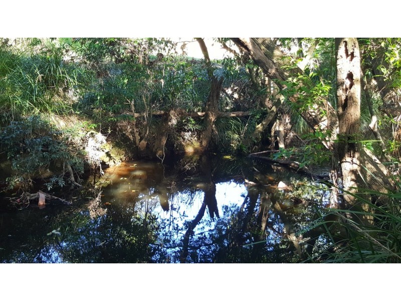 361 Schreibers Road, Cooran QLD 4569