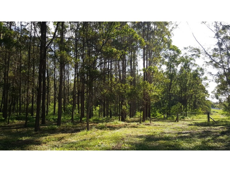 361 Schreibers Road, Cooran QLD 4569