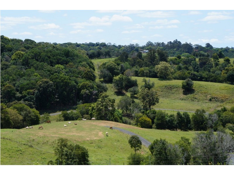 Black Mountain QLD 4563