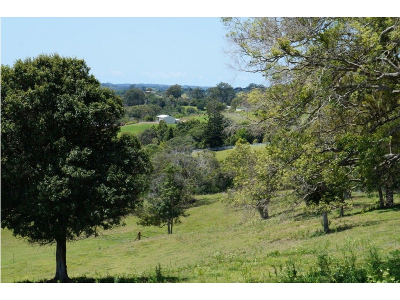 Black Mountain QLD 4563