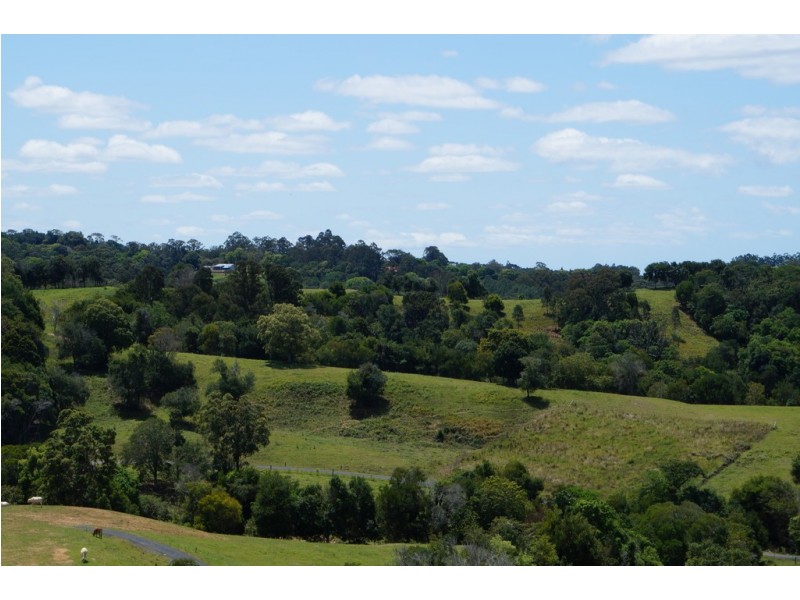 Black Mountain QLD 4563