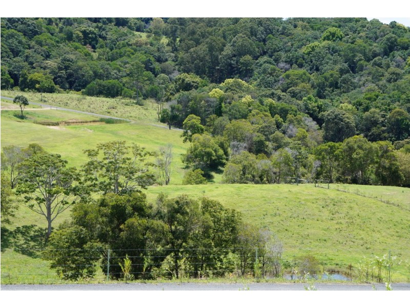 Black Mountain QLD 4563