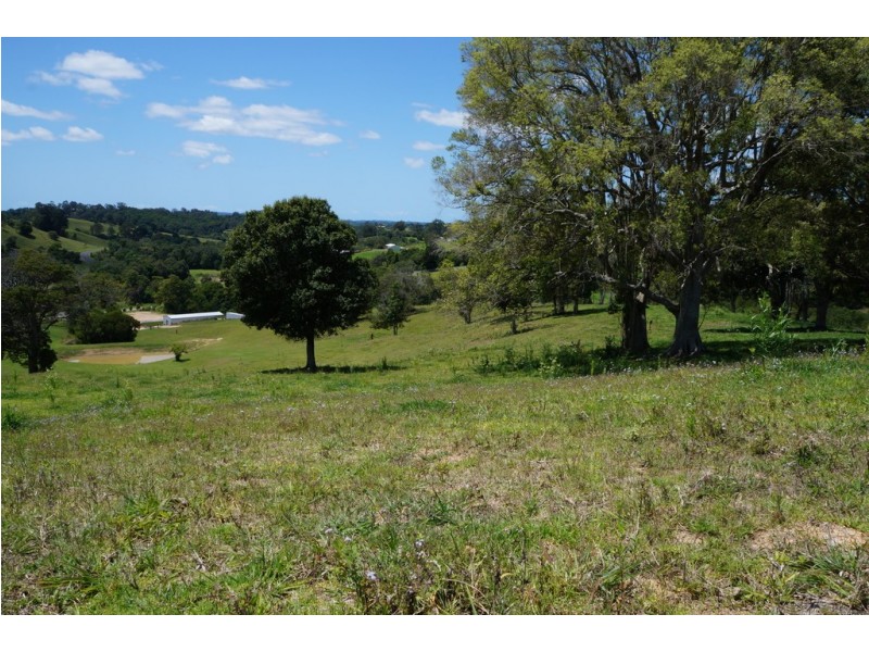 Black Mountain QLD 4563