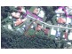 29 Ashgrove Drive, Cooroy QLD 4563