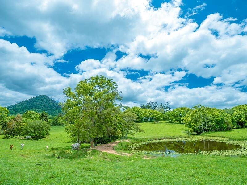 340 Kin Kin Road, Pinbarren QLD 4568
