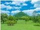 340 Kin Kin Road, Pinbarren QLD 4568