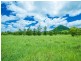 340 Kin Kin Road, Pinbarren QLD 4568