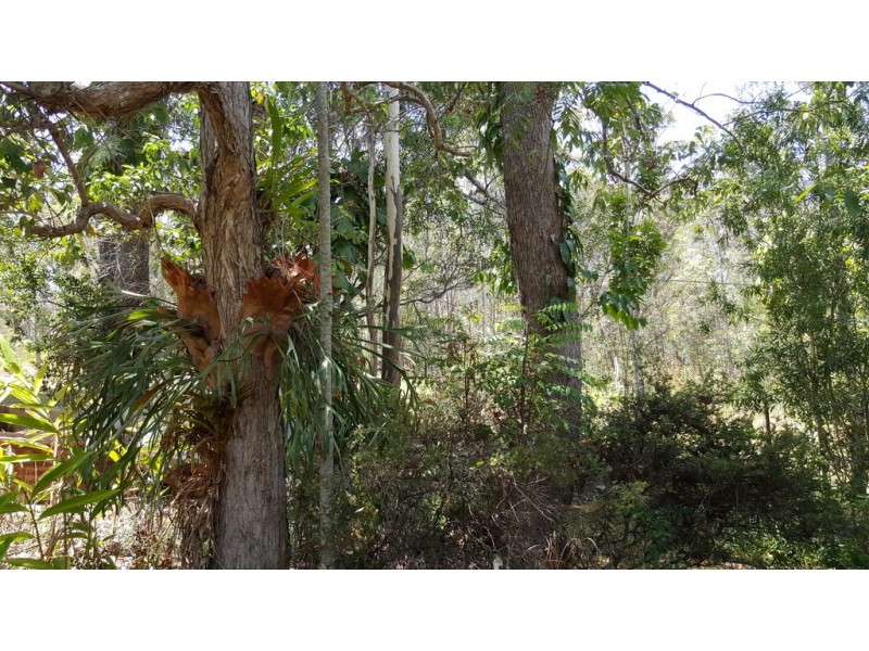 149 Pomona Kin Kin Road, Pinbarren QLD 4568