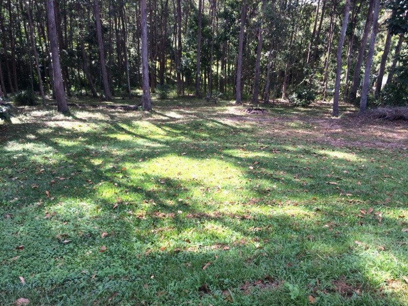 15 Charles Street, Cooran QLD 4569