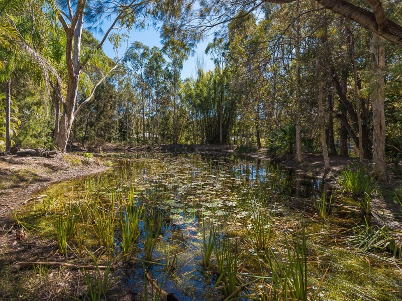 17 Misty Lane, Cooroibah QLD 4565
