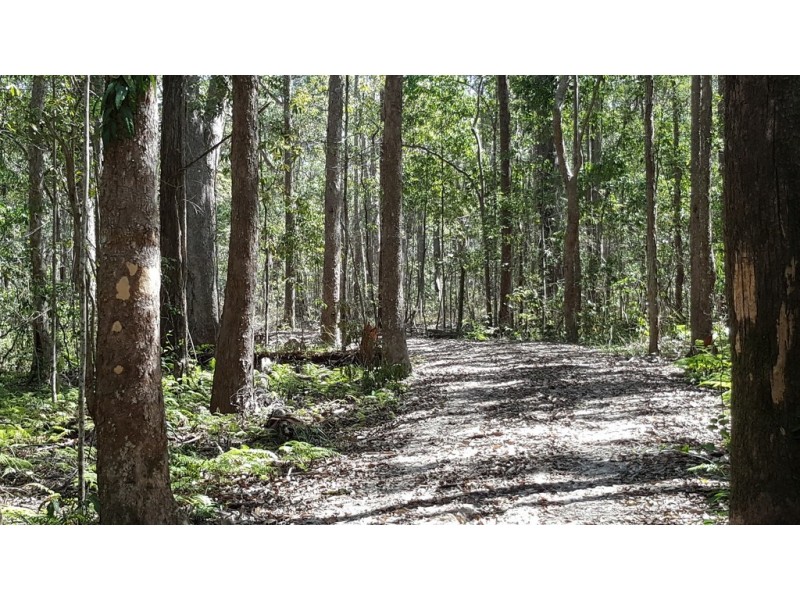LOT 1, 100 Black Pinch Road, Pomona QLD 4568
