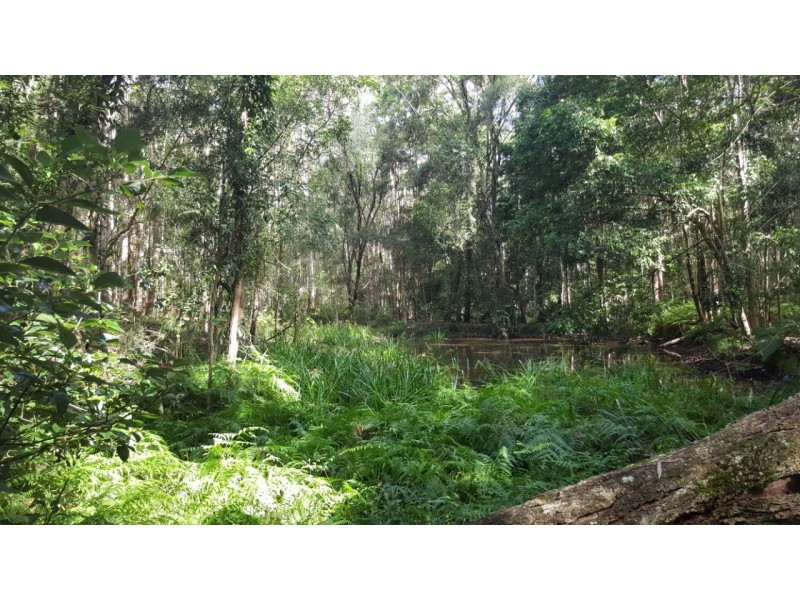 LOT 1, 100 Black Pinch Road, Pomona QLD 4568