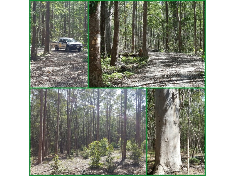 LOT 1, 100 Black Pinch Road, Pomona QLD 4568